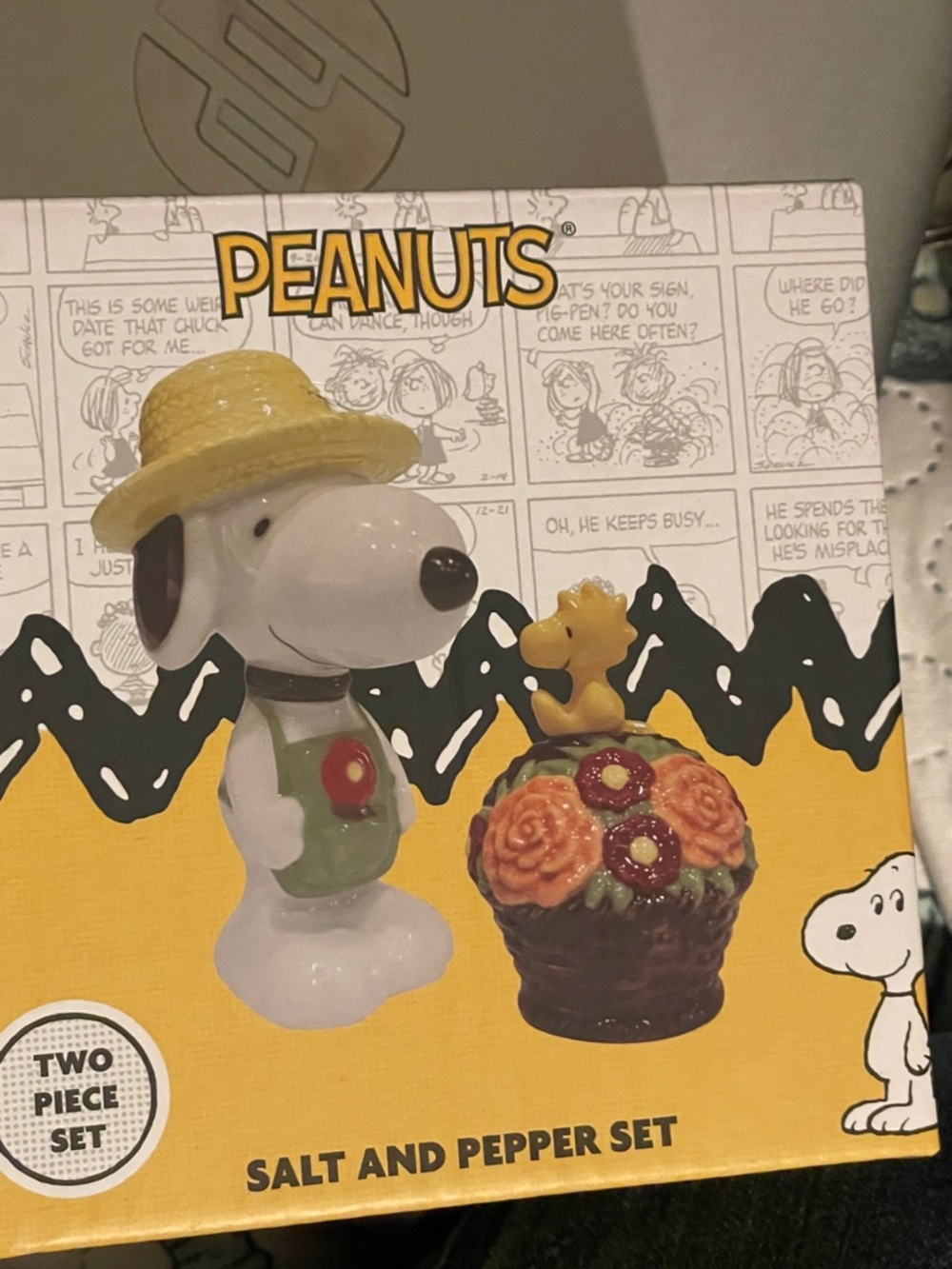 Peanuts Snoopy & Woodstock Salt and Pepper Set - Yellow, Green, Brown, Orange